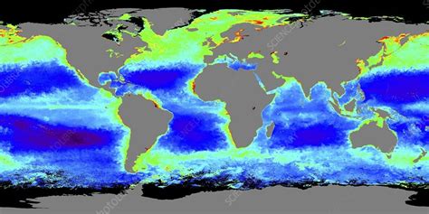 chlorophyll satellite data hermes|Frontiers .